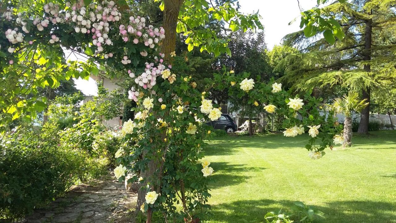 Casa Di Laura Bed & Breakfast Benevento